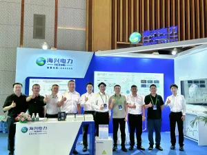 首届电鸿物联配用电技术应用论坛